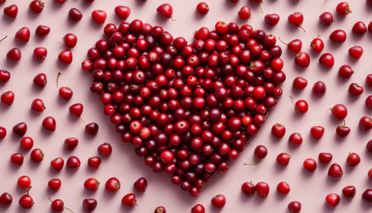 Does Hawthorn Berry Lower Blood Pressure